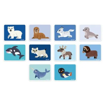 Magnéti'book - Animaux Polaires