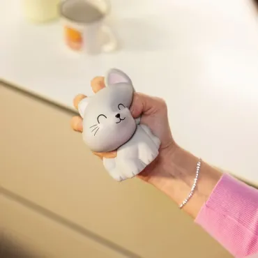 Squishy - Kitty