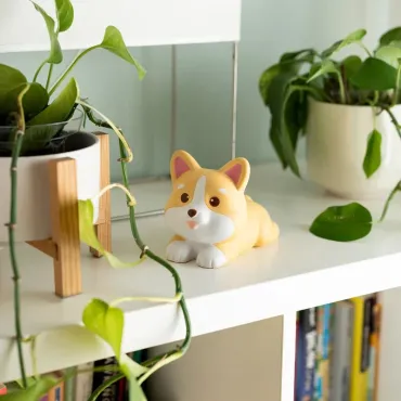 Squishy - Corgi