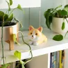 Squishy - Corgi