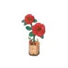 Rowood | Camélia rouge
