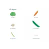 Tout-petit Montessori - Mon premier imagier