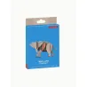 Wall Art - Elephant