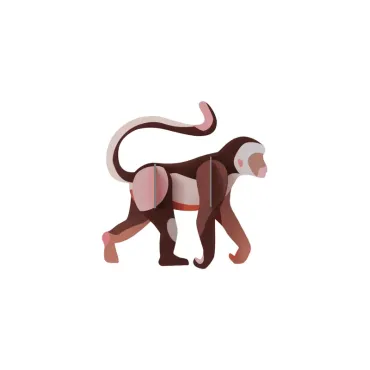 Wall Art - Monkey