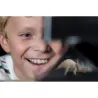 Projecteur Hologramme