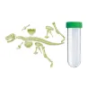 Squelette De T-Rex Lumineux