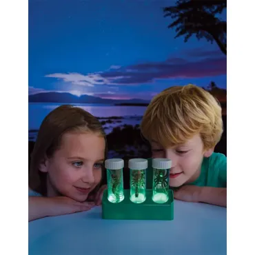 Laboratoire Des Créatures Lumineuses