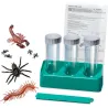 Laboratoire Des Créatures Lumineuses