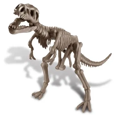 Déterre ton dinosaure
