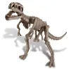 Déterre ton dinosaure