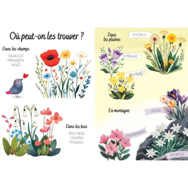 Puzzle magique à l'eau - Les fleurs