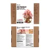 Maquette - Sakura Tree House