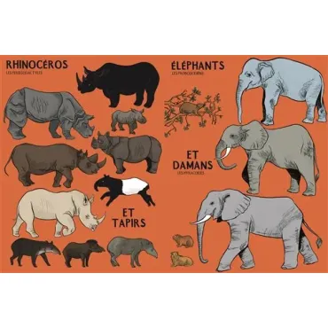 Beaucoup beaucoup d'animaux