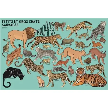 Beaucoup beaucoup d'animaux