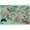 Beaucoup beaucoup d'animaux