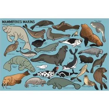 Beaucoup beaucoup d'animaux