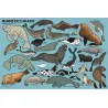 Beaucoup beaucoup d'animaux