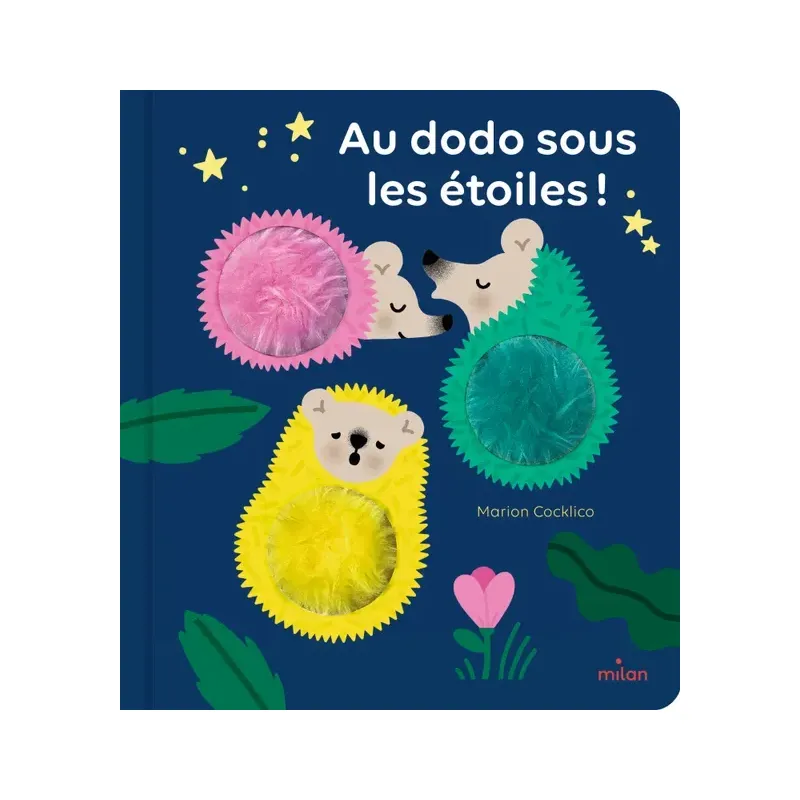 Au dodo sous les étoiles !