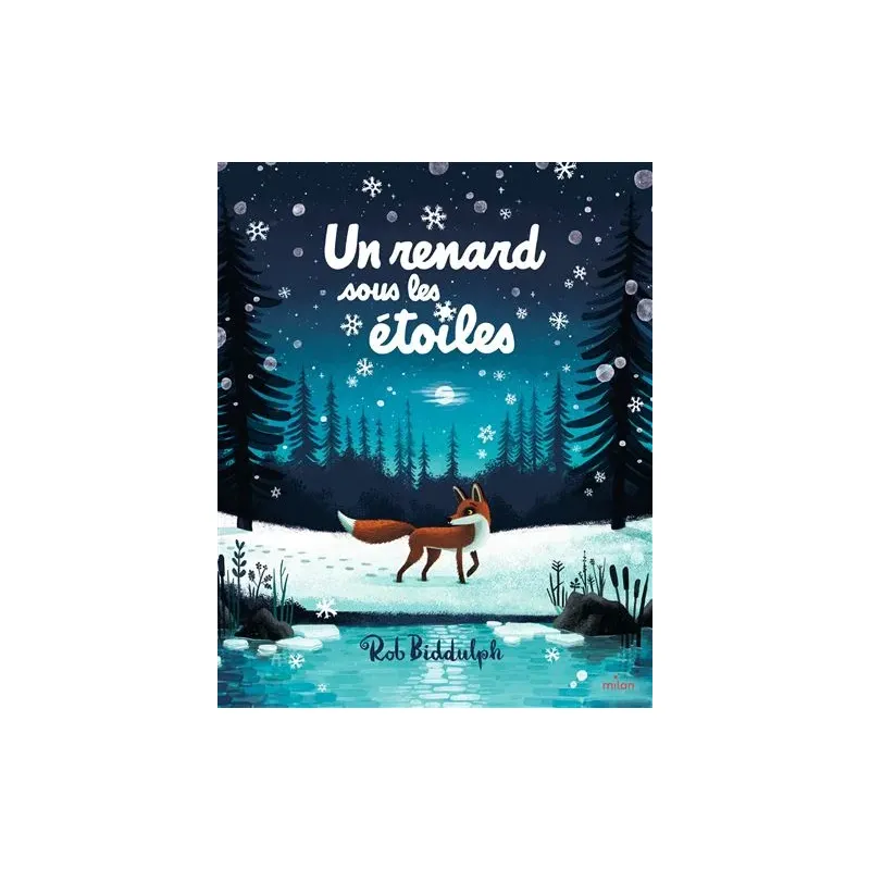 Un renard sous les étoiles 