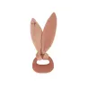 Mon premier coffret naissance Lapinoo - Terracotta