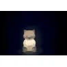 Ma veilleuse souple raton laveur - Silicone