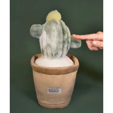 Peluche fleur- Cactus vert...
