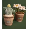 Peluche fleur- Cactus vert 25 cm