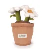 Peluche fleur - Marguerite - 25 cm