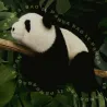 Peluche lestee Panda Bao - 32 cm
