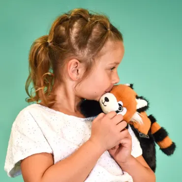 Panda roux en peluche...