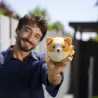 Peluche Corgi - Mini Super Soft!
