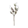 Mini pomme de pins naturel neige sur tige - 17cm