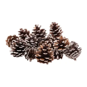Sachat 100g - Pomme de pin...