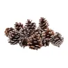 Sachat 100g - Pomme de pin neige - 4cm