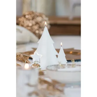 Bougie sapin blanc -...