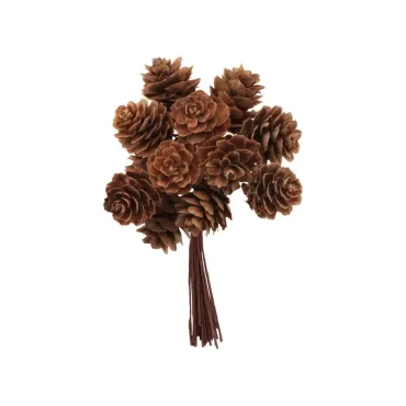 Branche 12 mini pomme de...