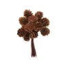 Branche 12 mini pomme de pin naturelles - 10x11cm