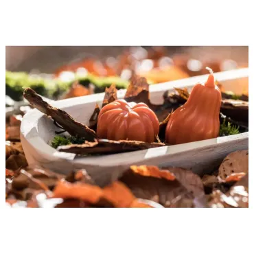 Bougie Citrouille - 2 assortis