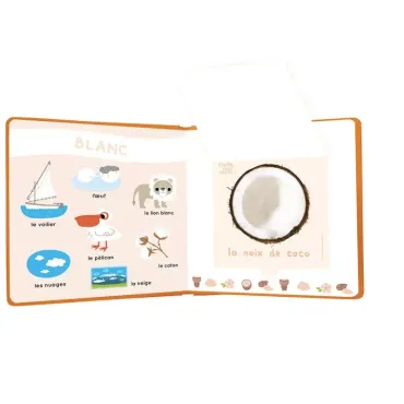 Mon livre des odeurs et des couleurs - Le monde