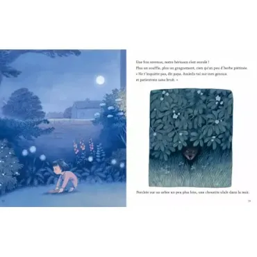 La nuit du hérisson