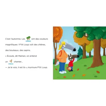 P'tit Loup - Je lis avec toi - P'tit Loup se balade en forêt 