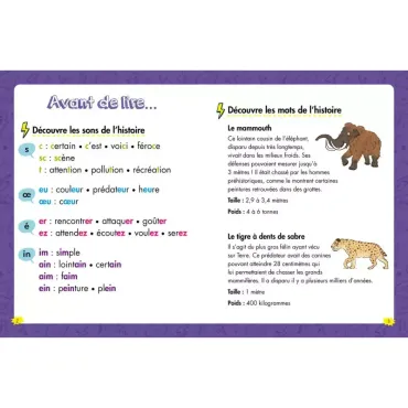 Les héros du CE1 - Niveau 2 - Une rencontre préhistorique