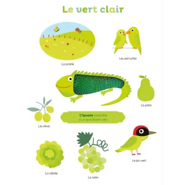 Mes premières couleurs à toucher