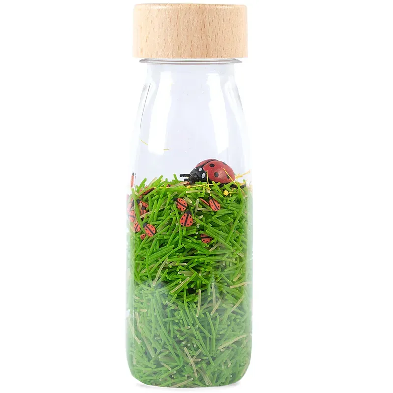 Bouteille sensorielle Sound - Coccinelle