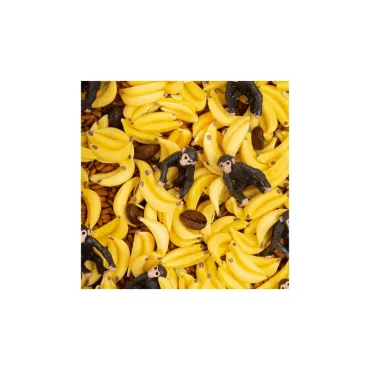 Bouteille sensorielle Sound - Singe