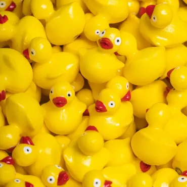 Bouteille sensorielle Move - Canard