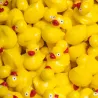 Bouteille sensorielle Move - Canard