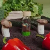 Bouteille sensorielle Learn - Légumes