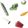 Bouteille sensorielle Learn - Légumes