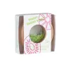 Donuts sensorielle - Kiwis